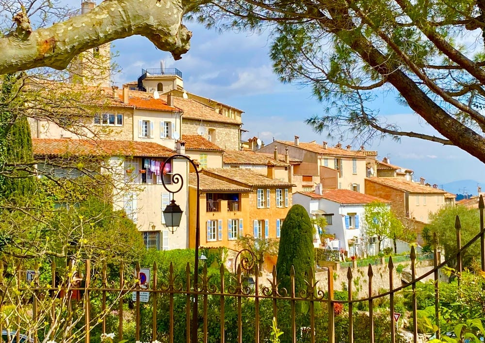 May be an image of tree, the Arno River and Camogli