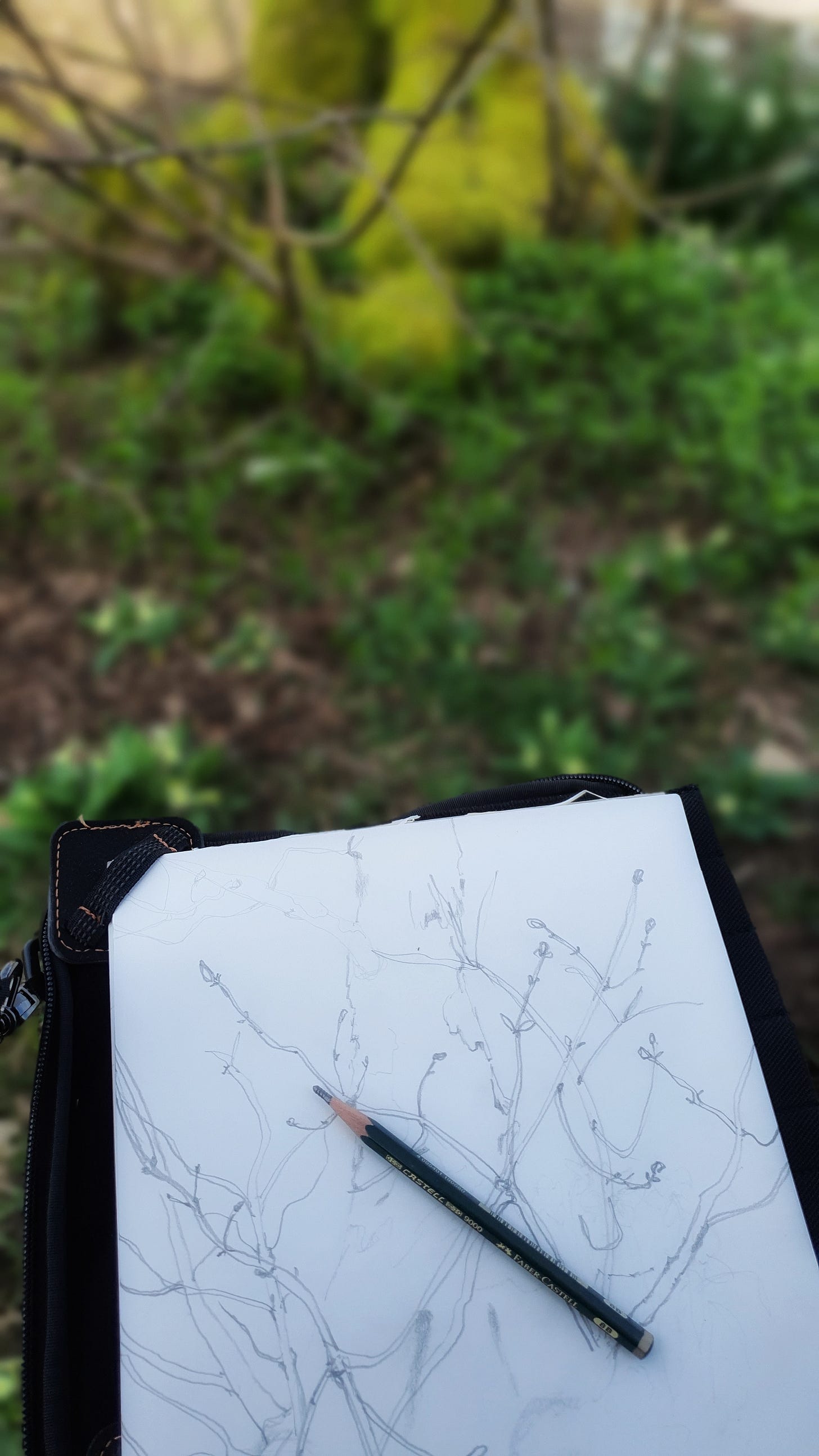 A sketchbook and a pencil sketching a tree outside