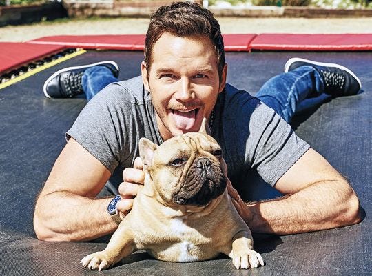 chris pratt with dog