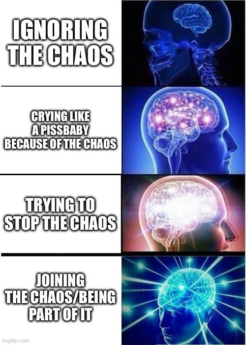What did I just make ;-; (btw this is 100% satire and 0% serious) | IGNORING THE CHAOS; CRYING LIKE A PISSBABY BECAUSE OF THE CHAOS; TRYING TO STOP THE CHAOS; JOINING THE CHAOS/BEING PART OF IT | image tagged in memes,expanding brain,chaos,satire,random | made w/ Imgflip meme maker