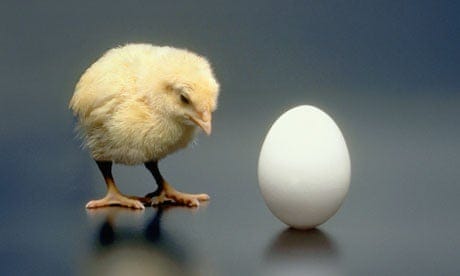 which came first teh chicken or the egg