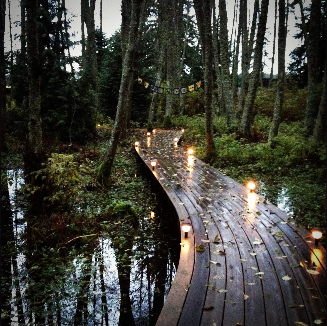 The bridge at Aldermarsh Retreat Center. Photo by JPC