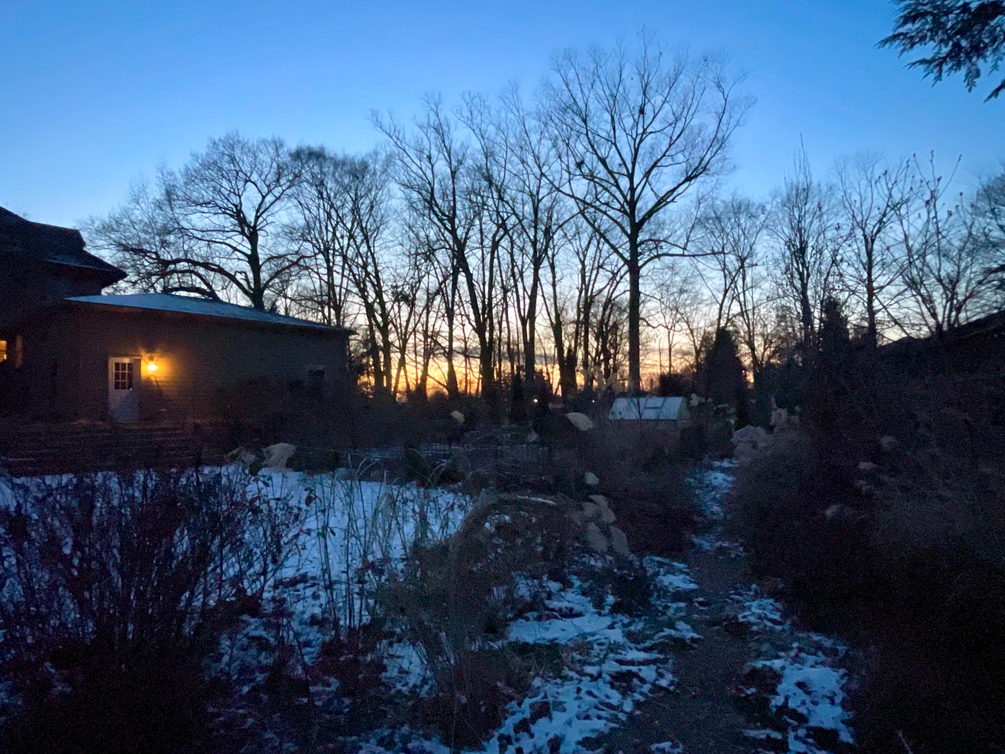 Looking towards the Long Border and the Kitchen Garden at twilight. 