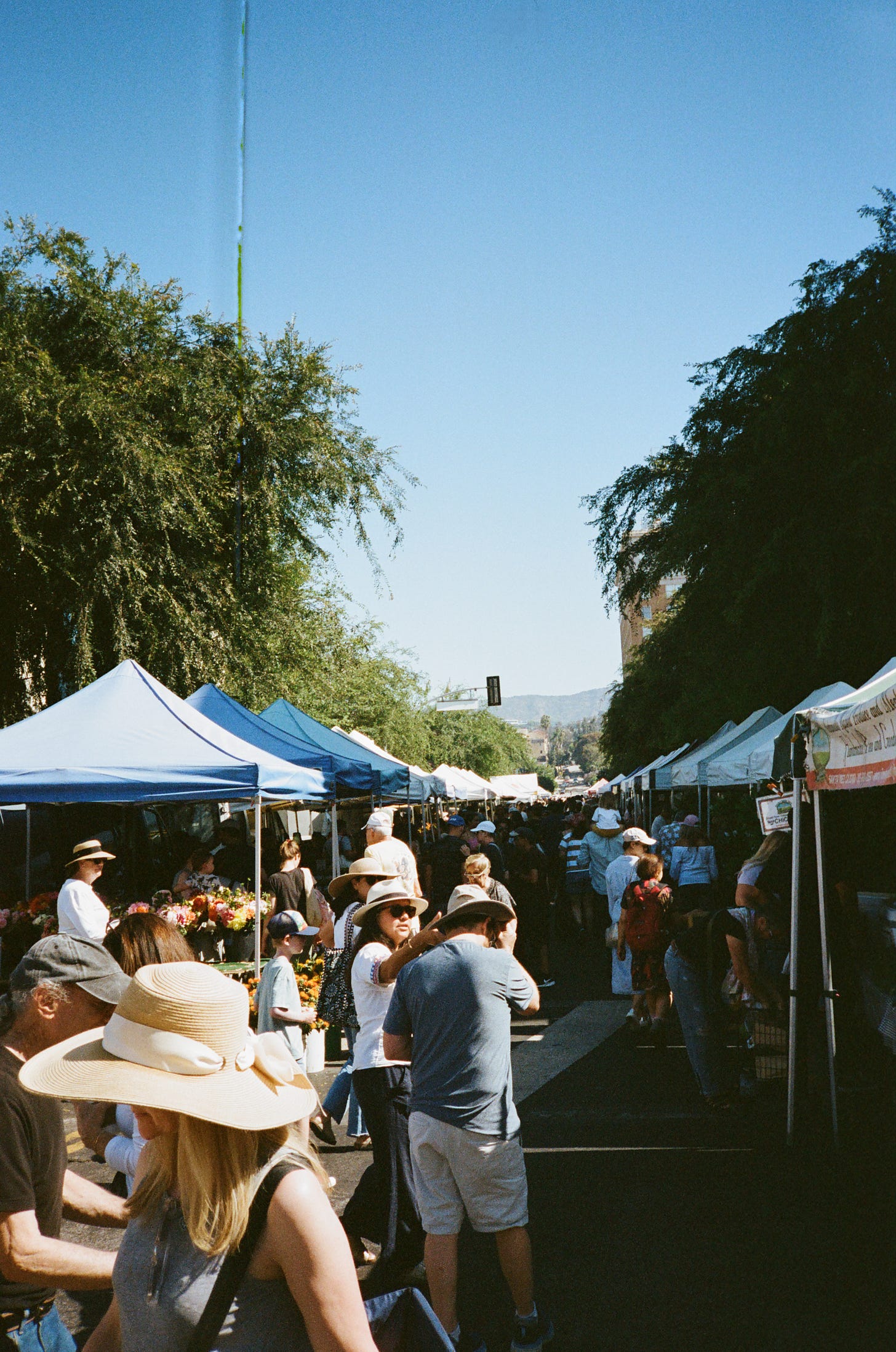 The Hollywood Farmers' Market