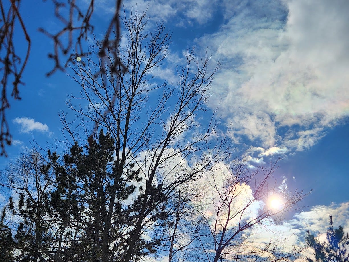 Image of a winter sky with sun and clouds through tree branches.