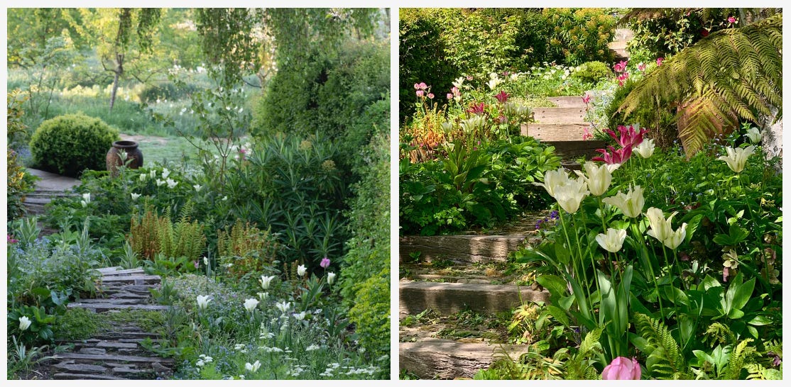 stone winding steps in a cottage garden