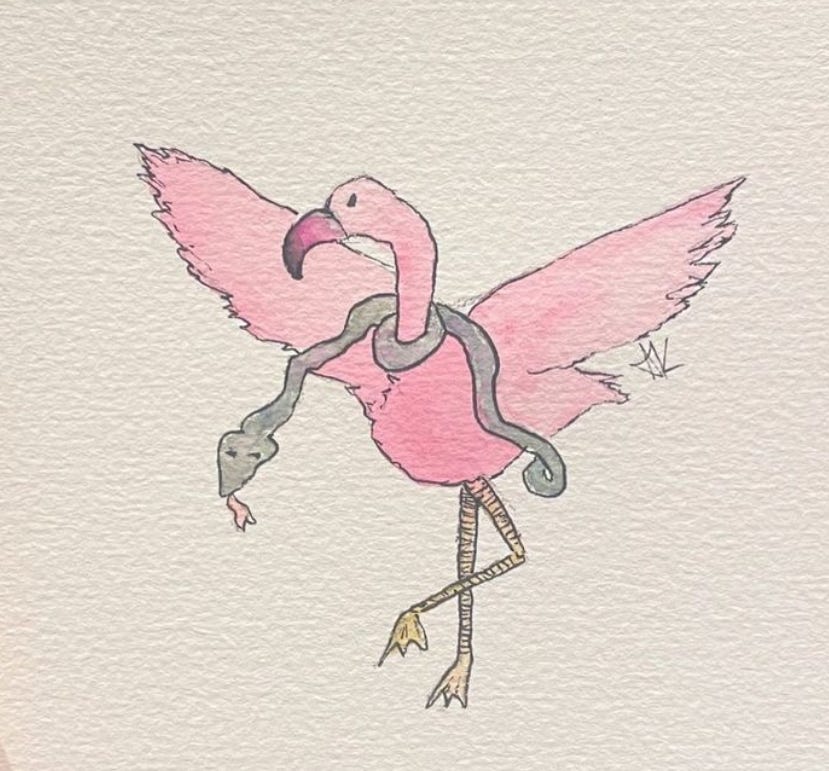 a pen and watercolour drawing of a flamingo with a snake around it's neck like a scarf