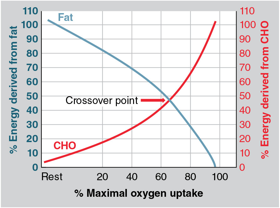 Figure 2.15 The relation between the relative contributions of fat and carbohydrate (CHO) utilization to overall energy expenditure as a function of exercise intensity. The point at which the two lines intersect illustrates the classic crossover concept.