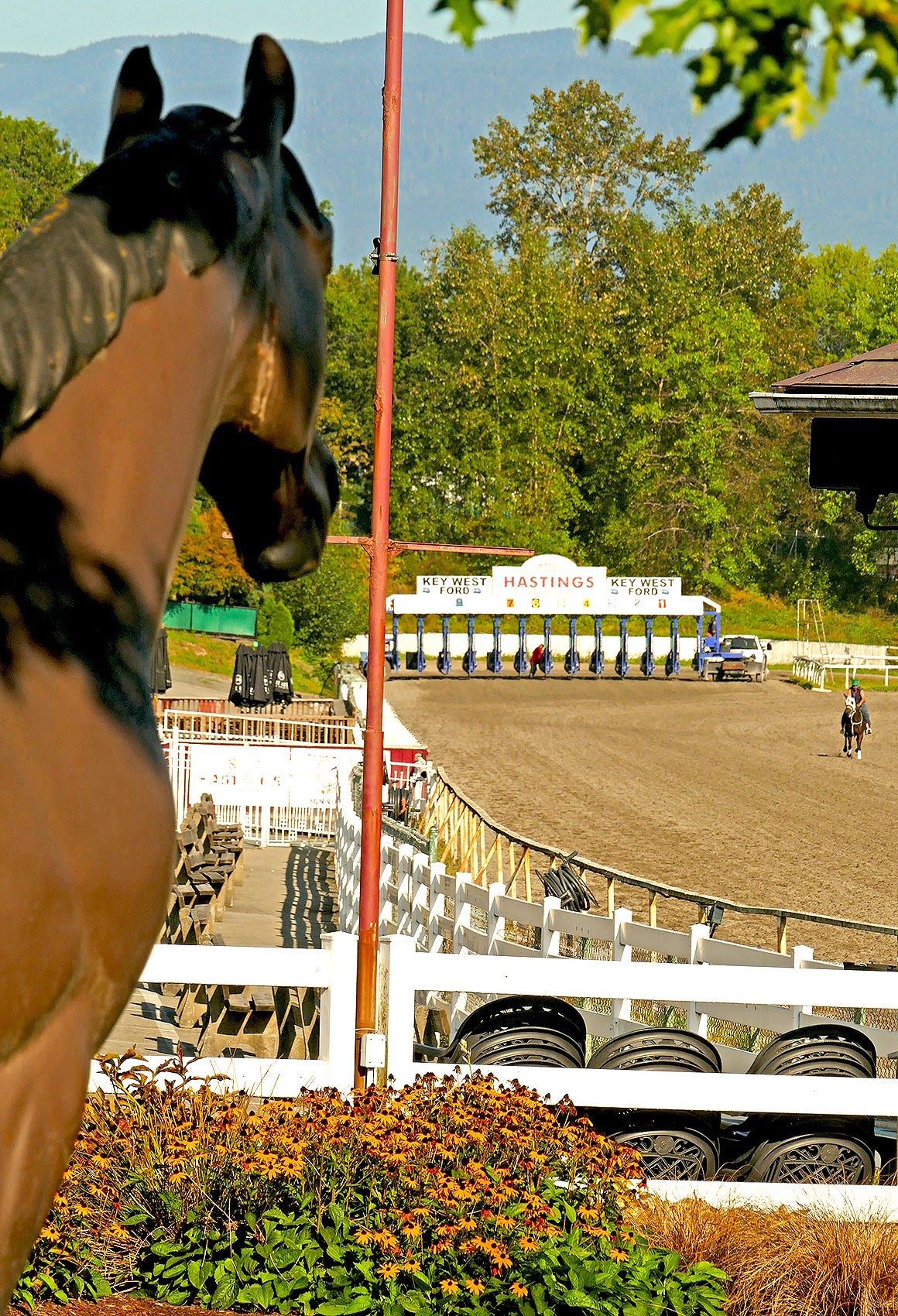 May be an image of 2 people and horse