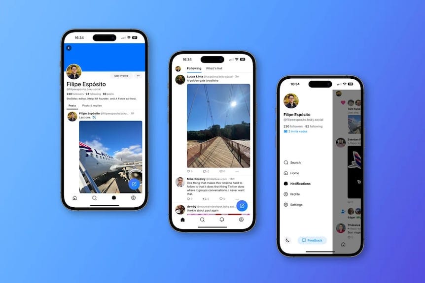 What is the Bluesky social media app and can it replace Elon Musk's  Twitter? - ABC News