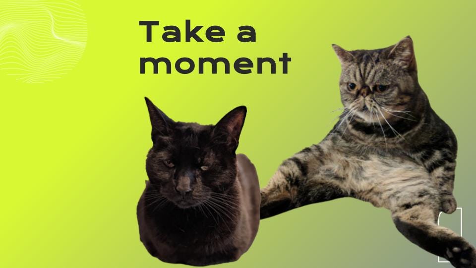 The Slide says "Take a moment" and has two cats on the slide.  One looks menacingly at the viewer and the other one has a look of depletion and exhaustion.