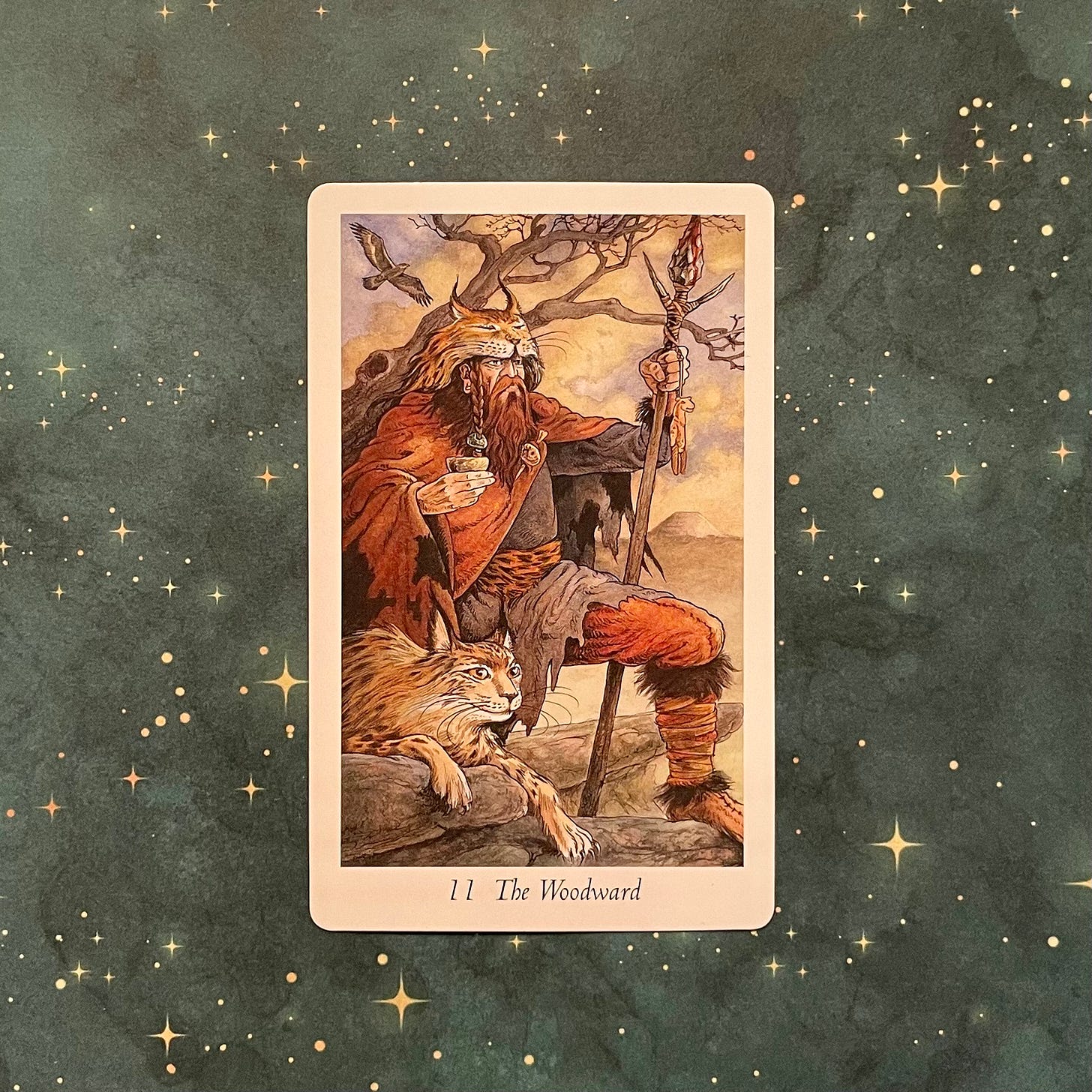 Photo of The Woodward tarot card on a green star covered background. The Woodward is a man dressed in skins and furs holding a stand with a wild cat next to him. A bird of prey flies overhead.
