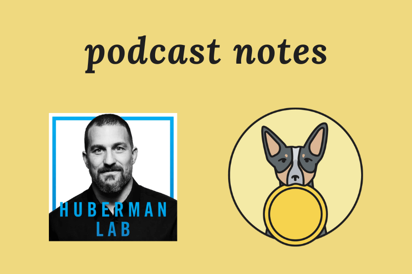 The Huberman Lab podcast logo sits atop a pale yellow background