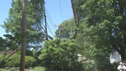 Neighbors Call Foul on Duke Energy Tree Trimming | wfmynews2.com