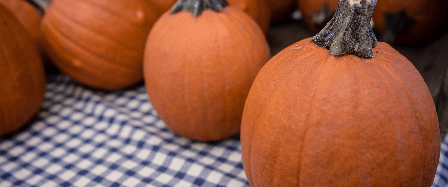Sugar pumpkins on a checkered table cloth.