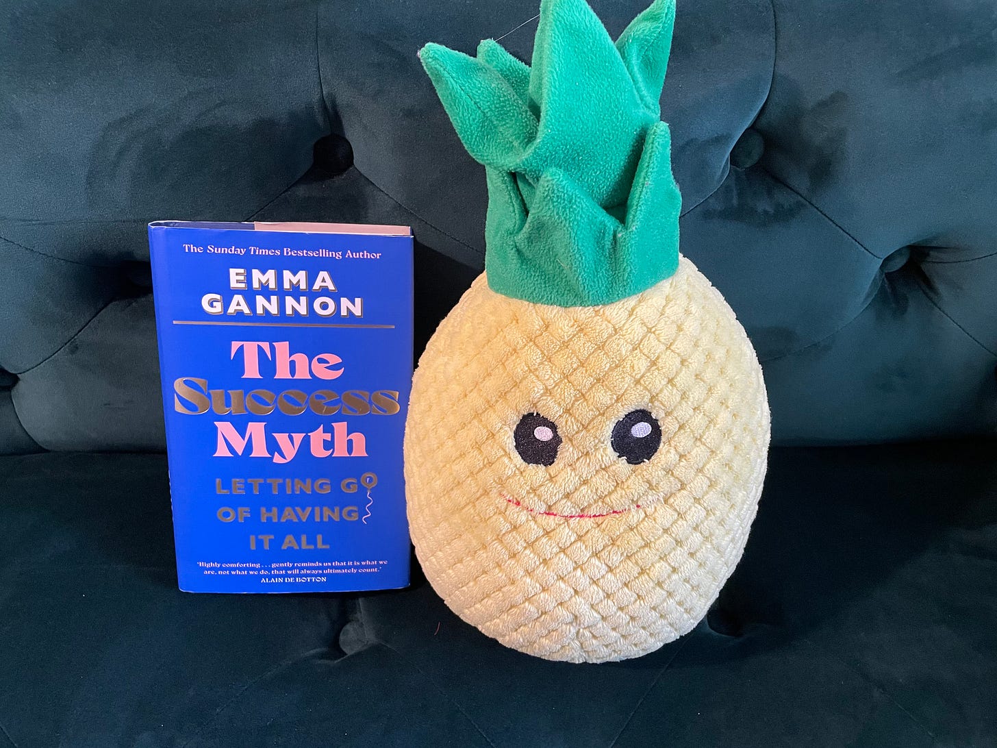 the success myth by emma gannon plus stuffed pineapple toy