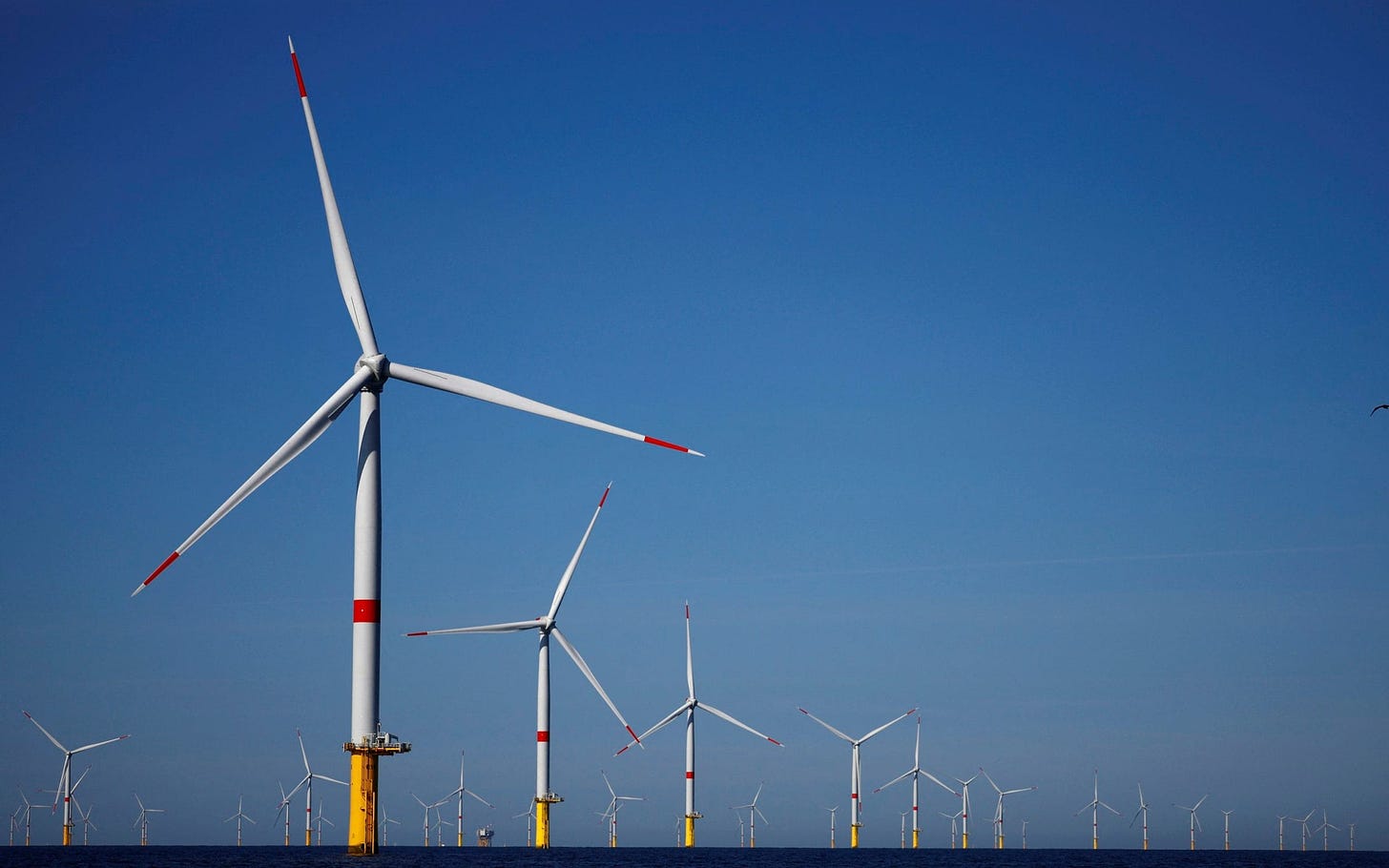 Wind farms paid to switch off as households cut back on energy use