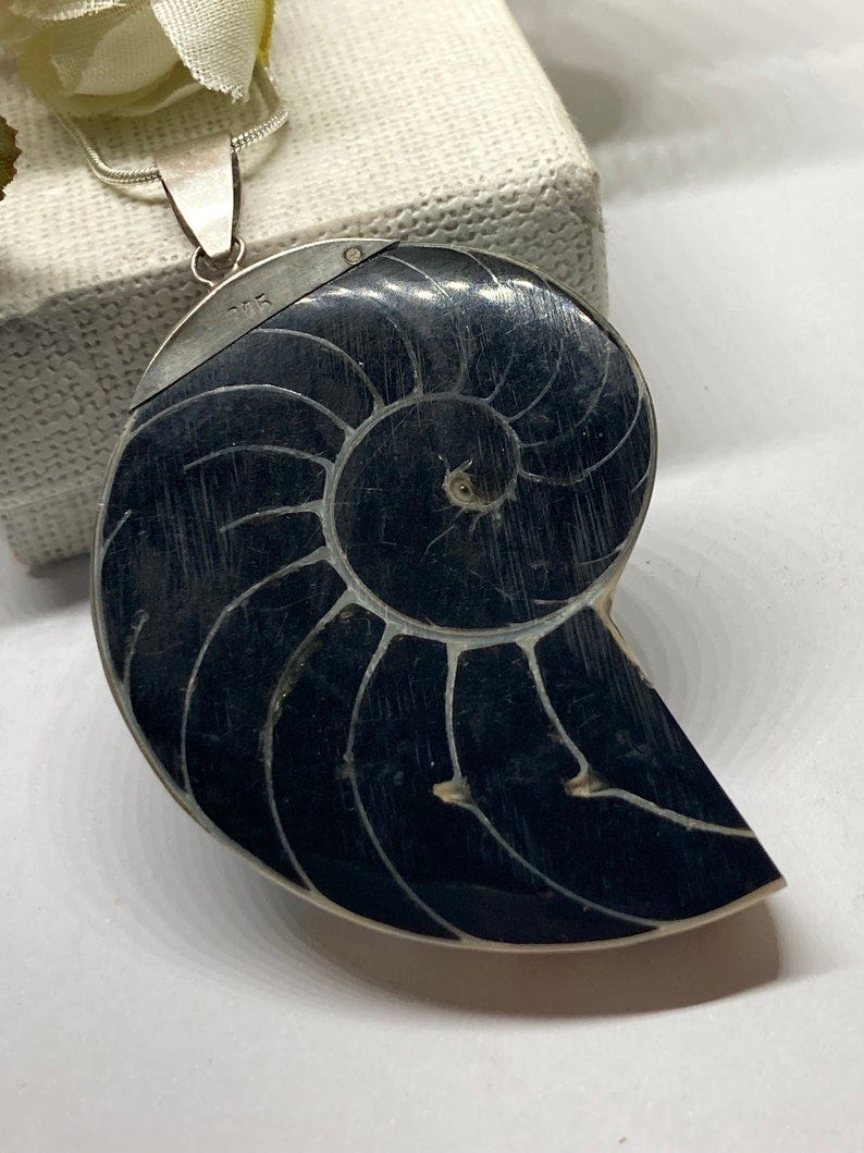 A Fabulous Vintage Large Reversable Sterling Silver Ammonite Fossil & Mother of Pearl Pendant Necklace image 1