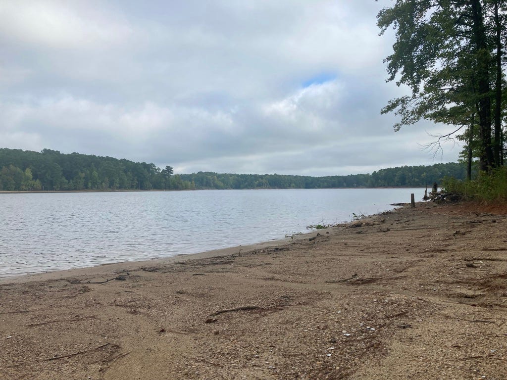 Falls Lake under overcast sky, gray water between a narrow sandy beach and a distant line of green trees