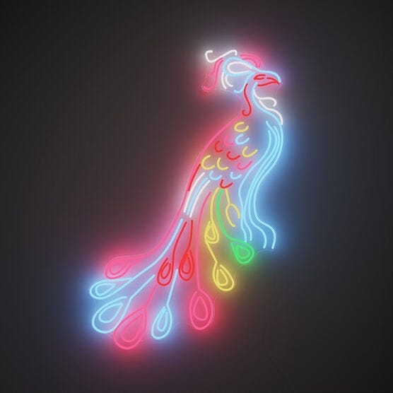 Chila Kumari Singh Burman Peacock neon light | Decorative accessories |  Tate Shop | Tate