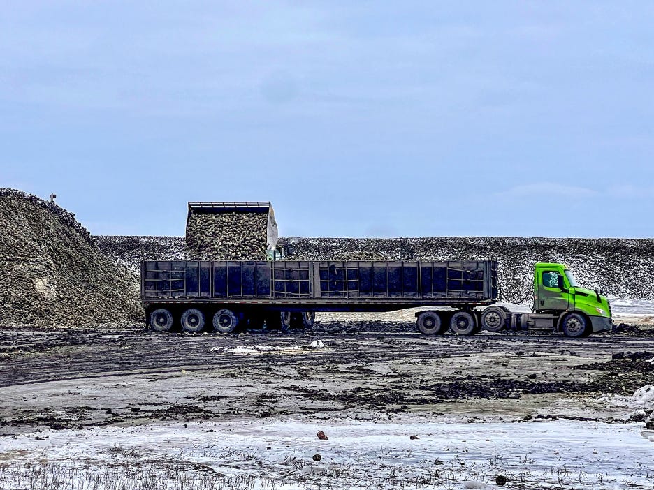 A Transystems semi-truck loading sugarbeets at American Crystal Sugar Co.’s Kennedy receiving station on Feb. 13.