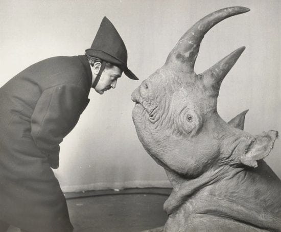 Dali Rhinoceros