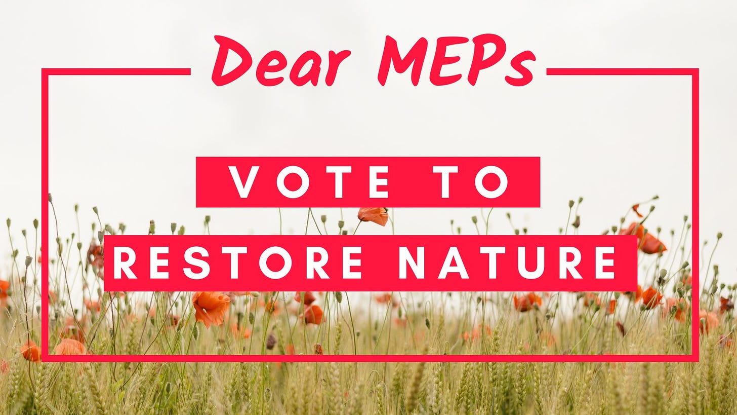 Graphic that says 'Dear MEP, vote to restore nature' on the backdrop of poppies growing in a field