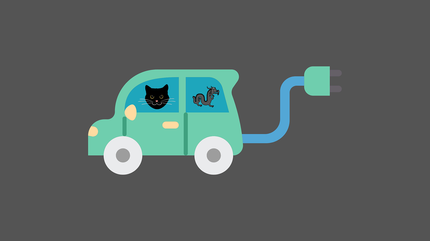 Image of cat and dragon inside electric car