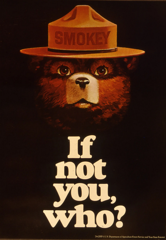 Painting of Smokey the Bear with the tagline If not you, who?