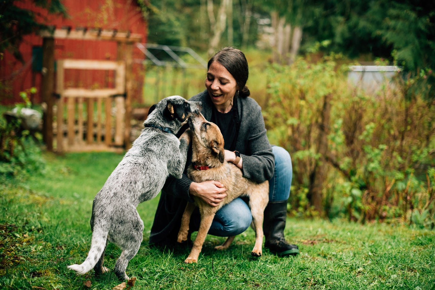 Woman with brown hair in jeans and boots kneels in her garden with a blue heeler and a red heeler. 