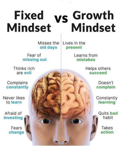 May be a graphic of 1 person and text that says 'Fixed vs Growth Mindset Mindset Misses the old days Lives in the present Fear of missing out Learns from mistakes Thinks rich are evil Complains constantly Helps others succeed Never likes to learn Doesn't complain Afraid of investing Constantly learning Fears change Quits bad habit Takes action'