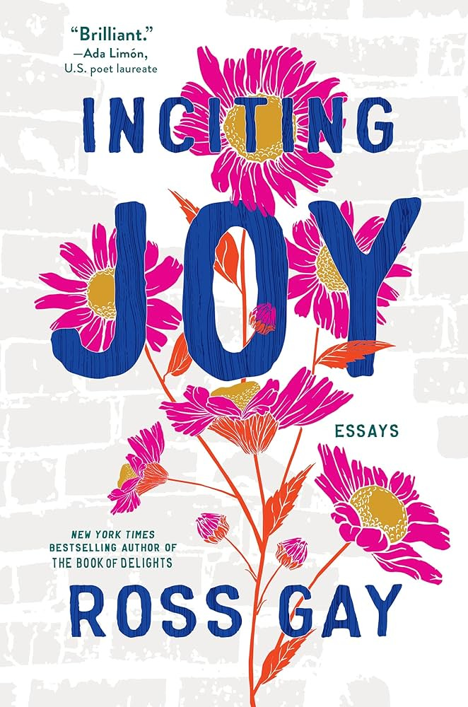 Inciting Joy: Essays: Gay, Ross: 9781643753041: Amazon.com: Books