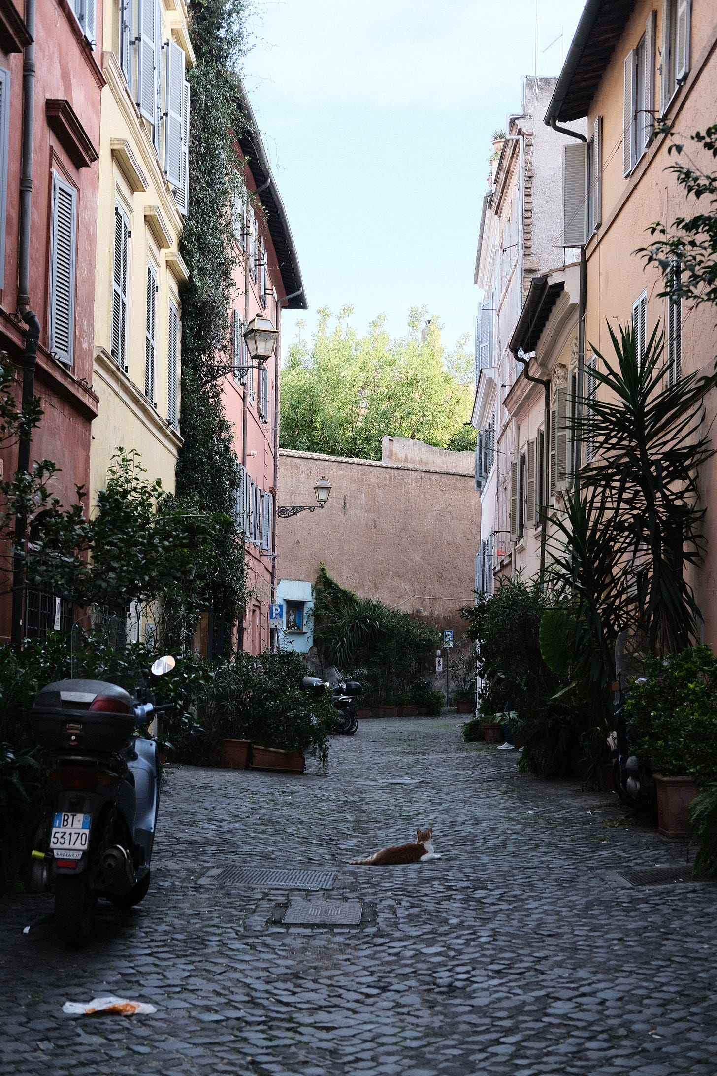 Meet the food and travel writer natural wine recommendations by travel adivsor Courtney Jill Bishop.  