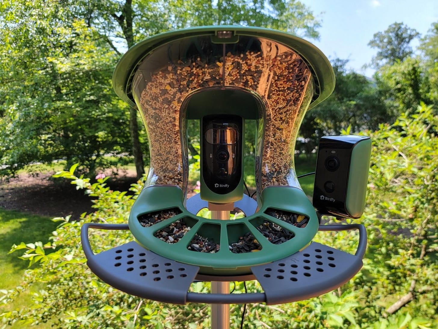 Birdfy Unveils Feeder 2 Duo: A Smart Bird Feeder with Unique Insights into Blue Jay Meaning