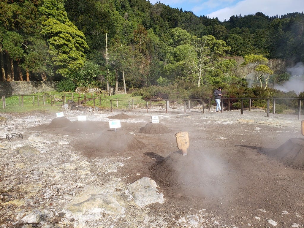Mounds of earth covering cozido pots in Furnas, Azores