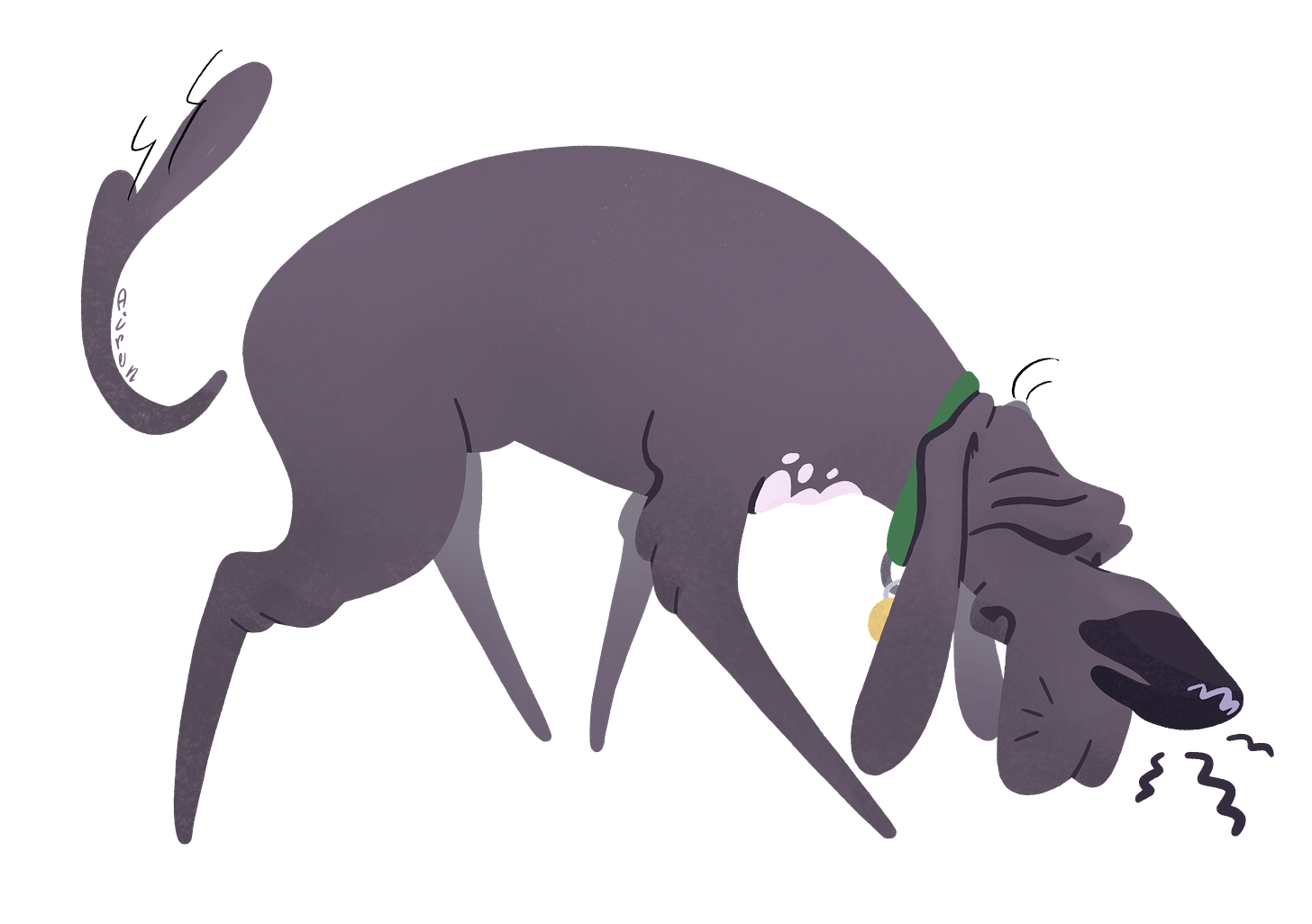 Digital drawing of a cartoon gray hound dog with white spots on his chest. He wears a green collar with an ID tag, and is sniffing the ground with his huge nose down. He has long floppy ears, a long tail pointing upwards in a relaxed position, and  many skin folds on his knees, elbows, and hiding his eyes.