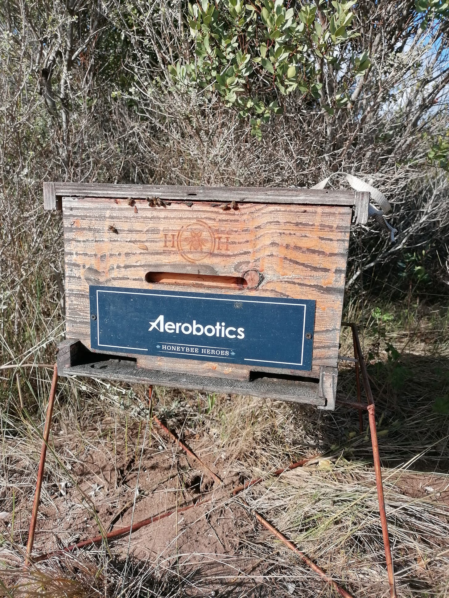 The Aerobotics Bee Hive, located on Southern Blooms farm, Stanford.