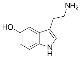 A diagram of the chemical structure of serotonin