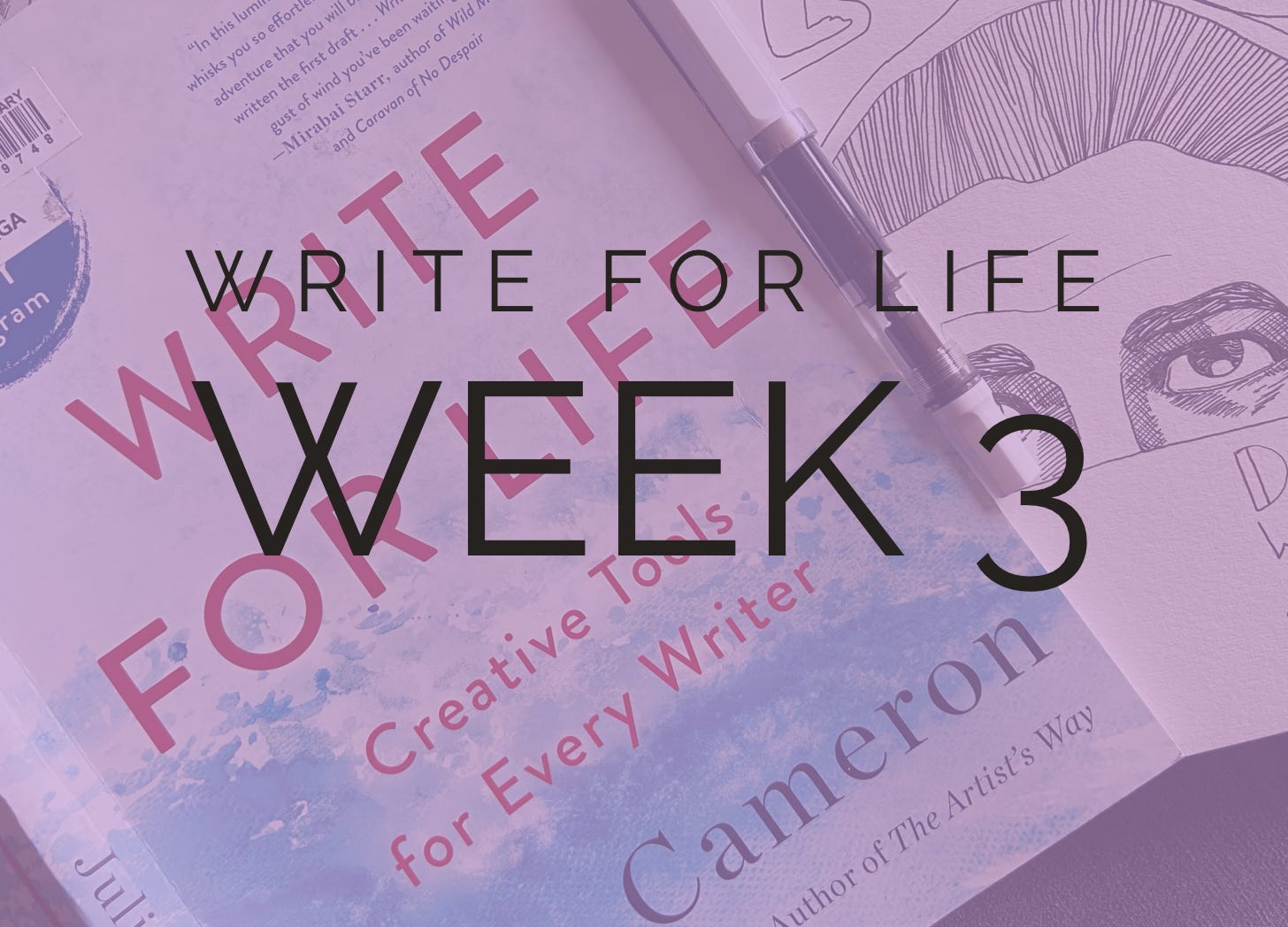 Write for Life by Julia Cameron chapter 3
