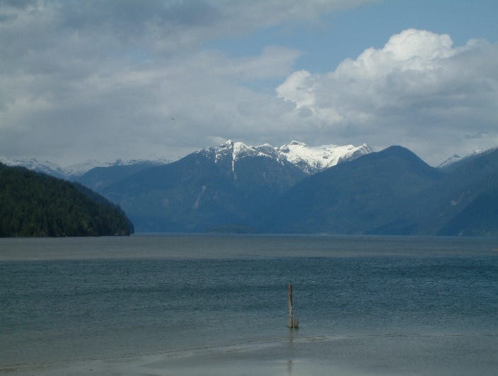 A photo of Pitt Lake, showing a wide rippling blue surface with a forested hill on one side and white capped mountains in the distance