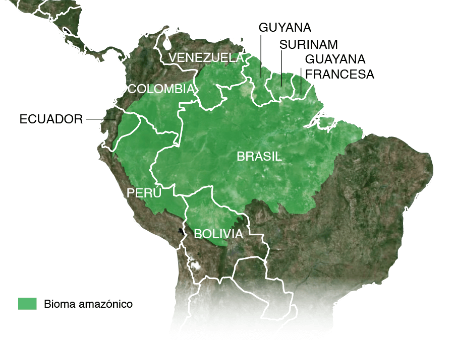 La gran mentira verde": cómo la pérdida del Amazonas va mucho más allá de  la deforestación - BBC News Mundo