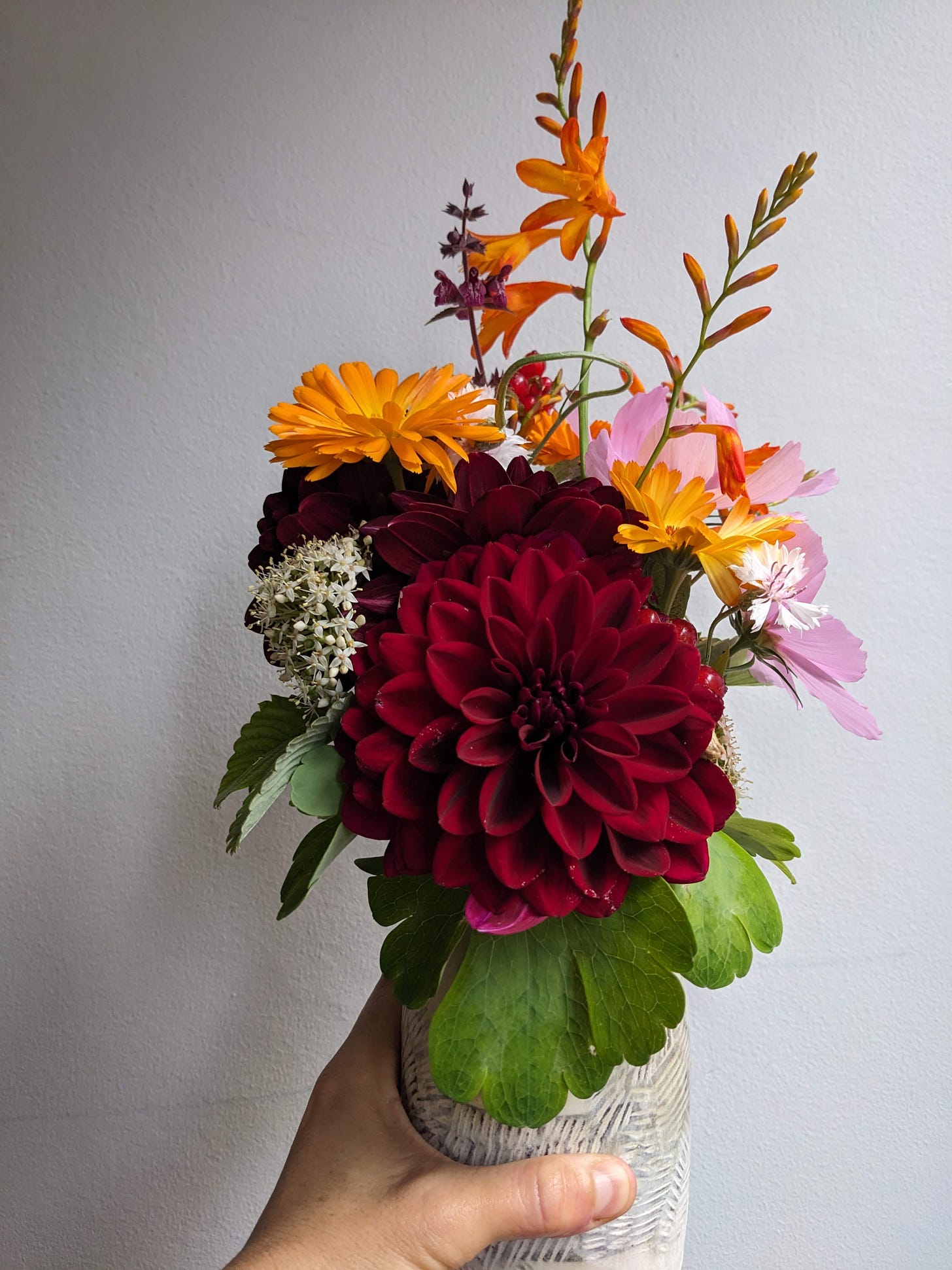 white person's hand holds a pale gray clay vase with deep red dahlias, orange calendula and crocosmia, pink cosmos, white dogwood, pale pink bachelor's buttons, and a magenta lamium, as well as columbine and strawberry leaves