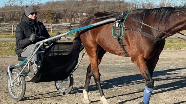 Two-time MVP Nikola Jokic trains a horse at Meadowlands Racetrack in 2021. (Photo courtesy of Tim Tetrick)