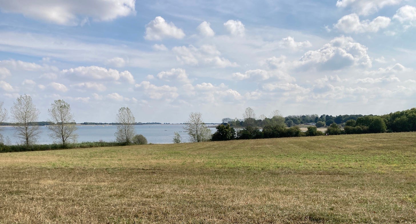 view over a meadow and lake towards a tree-lined horizon with blue sky and fluffy clouds.