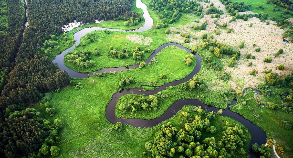 Meandering river