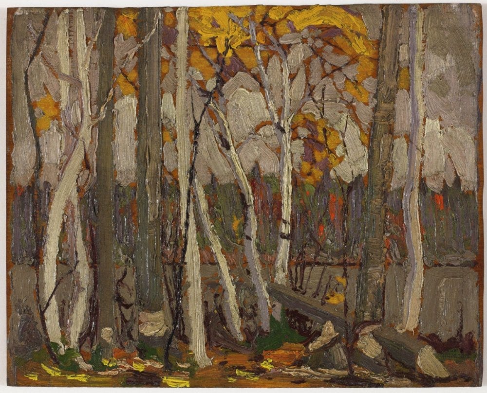 “Autumn Birches and Poplars, Canoe Lake” by Tom Thomson. c. 1914-1915.