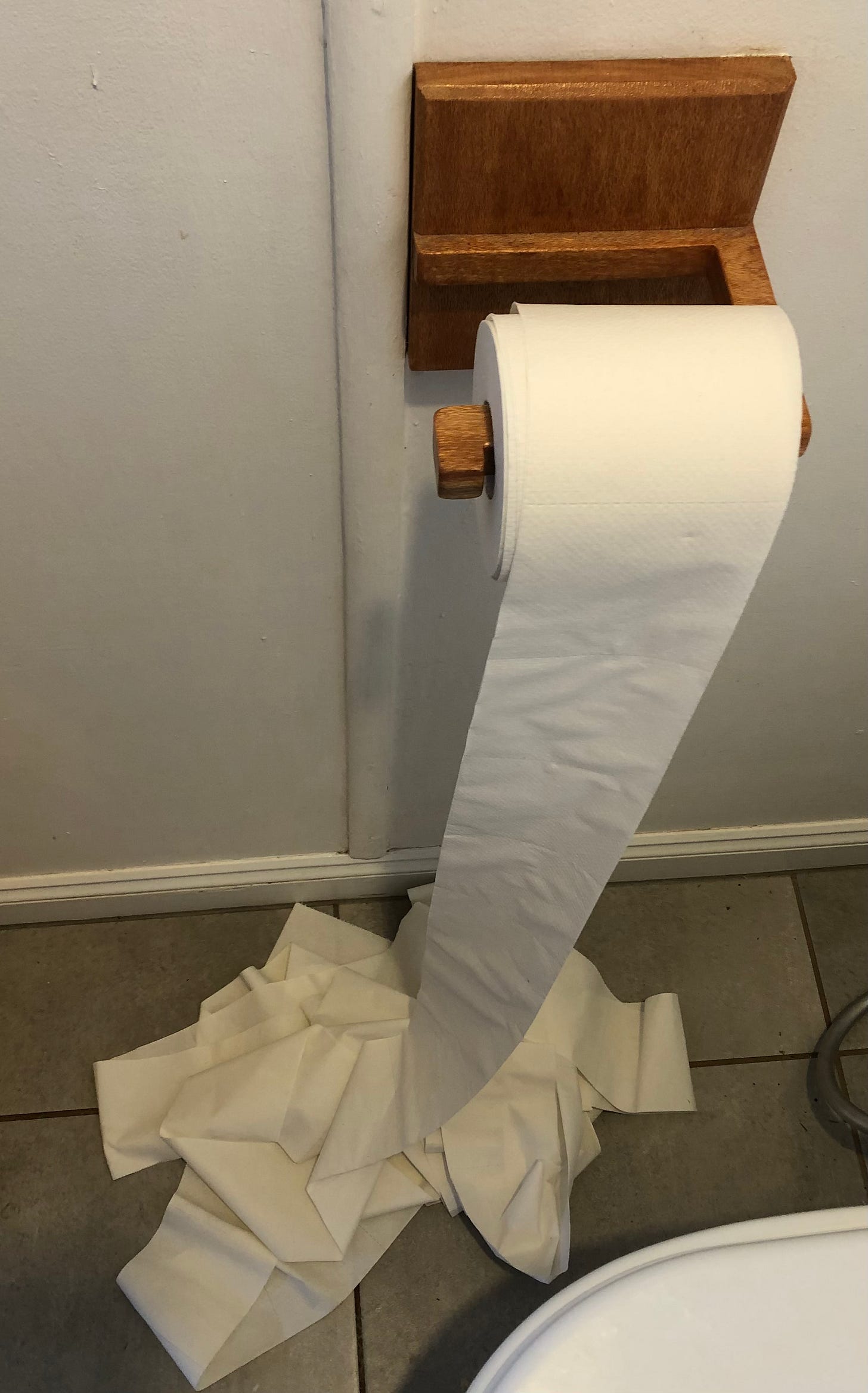 unspooled toilet roll on holder