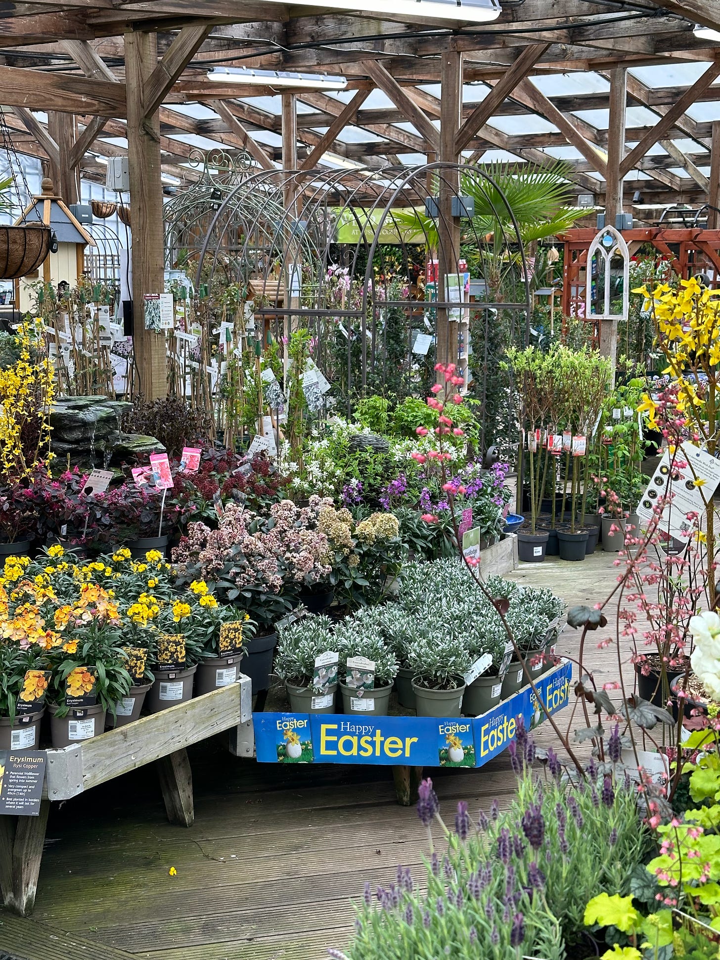 shelves of plants in a garden centre