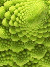 Romanesco