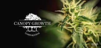 Canopy Growth Corporation: Diversifying Product and Cultivating Brand